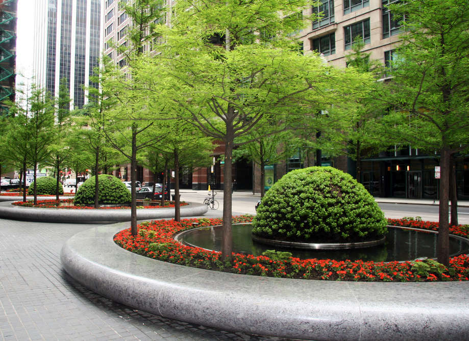City landscaping